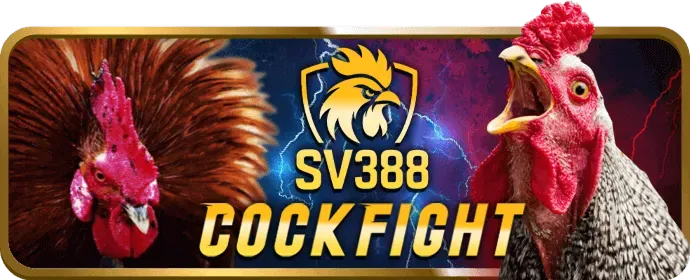 Đá gà trực tiếp anhem888 app